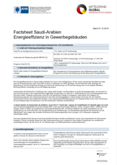 Technologie-Factsheet Saudi-Arabien