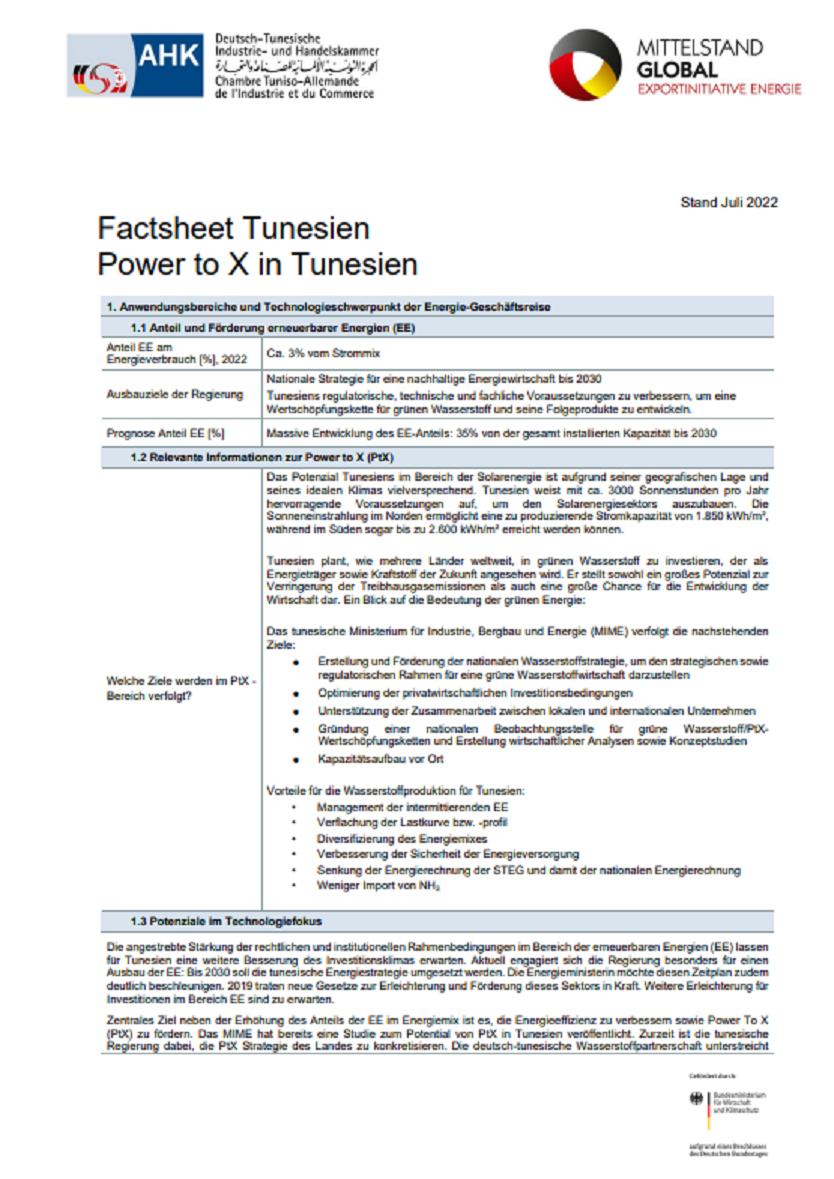 Technologie-Factsheet Tunesien