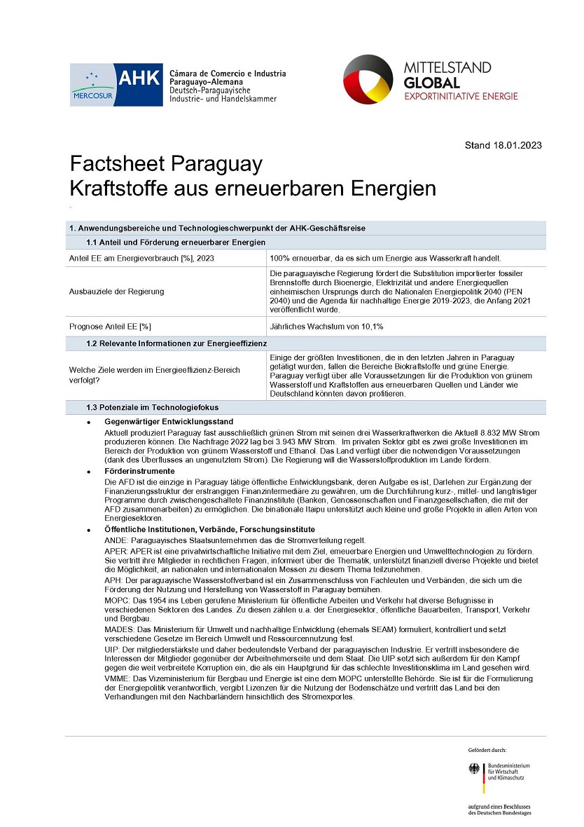 Factsheet Paraguay: Kraftstoffe aus erneuerbaren Energien