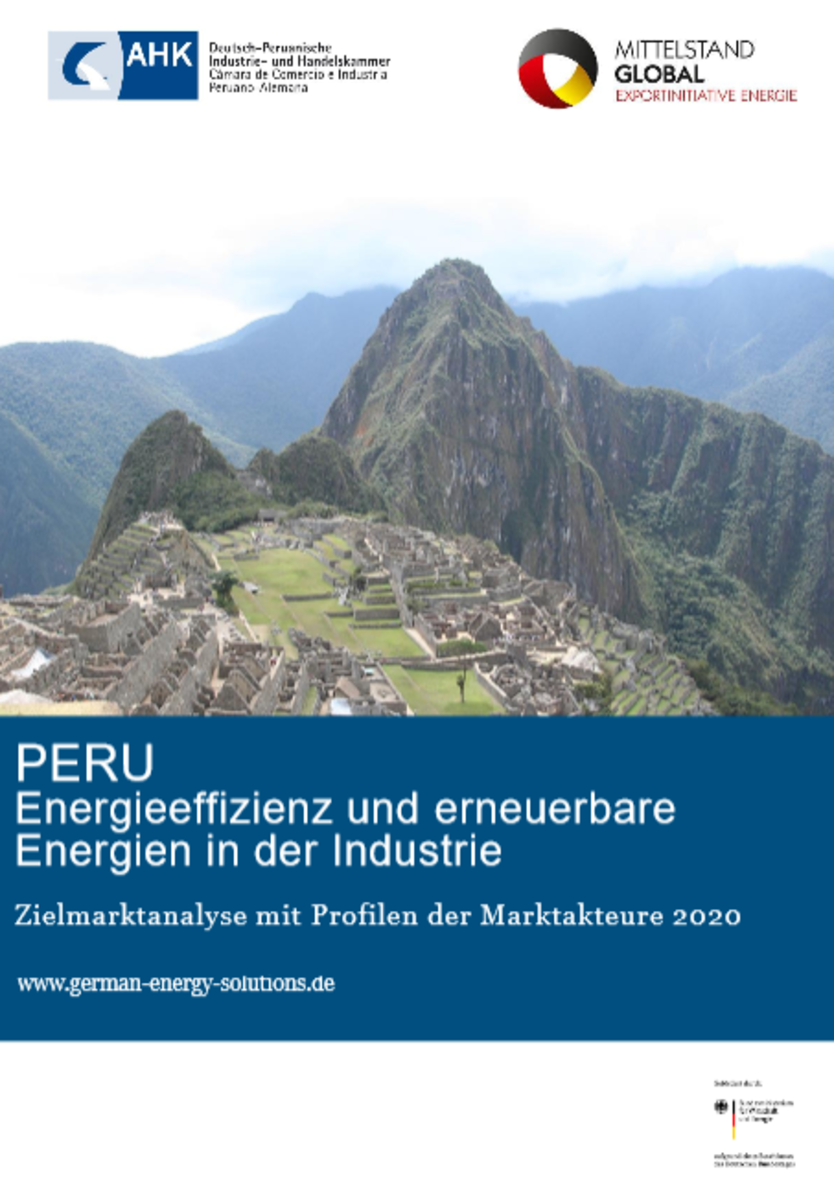 Zielmarktanalyse Peru 2020