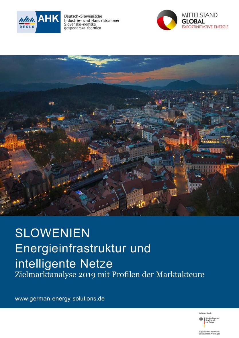 Zielmarktanalyse Slowenien 2020