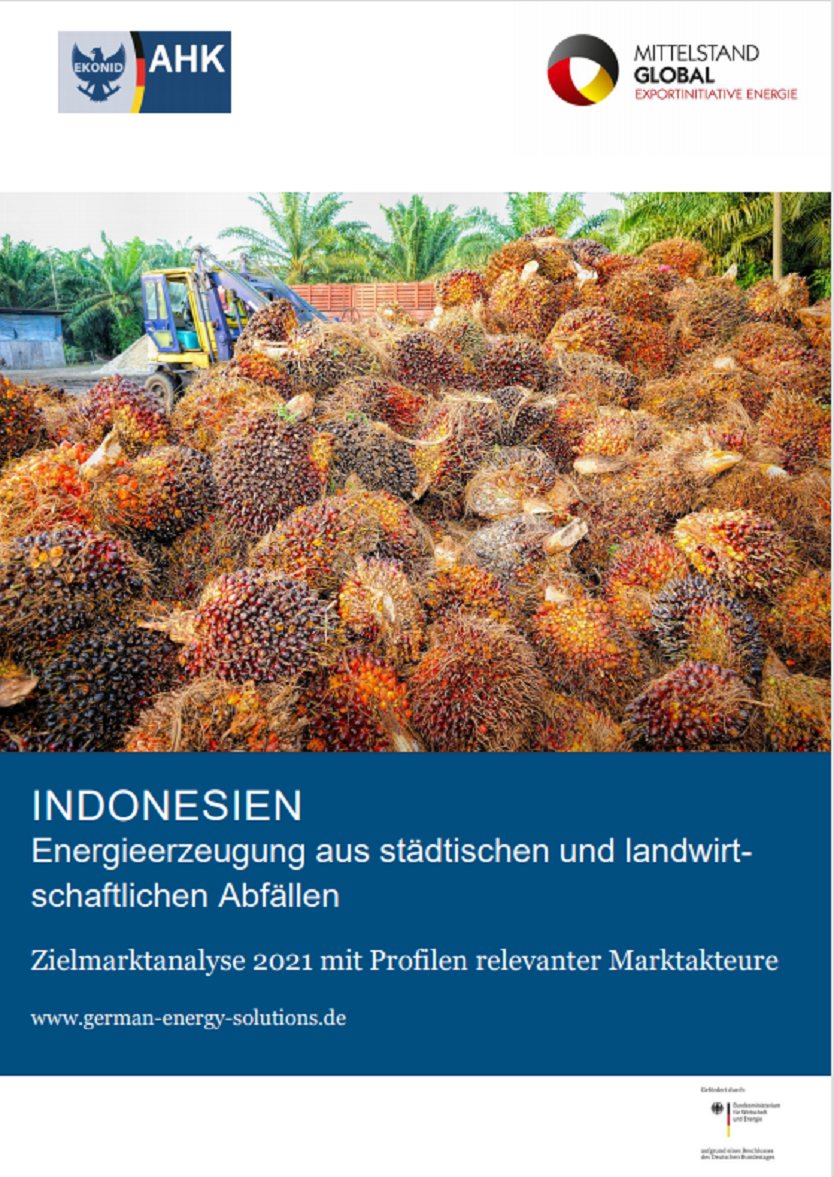 Zielmarktanalyse Indonesien 2021