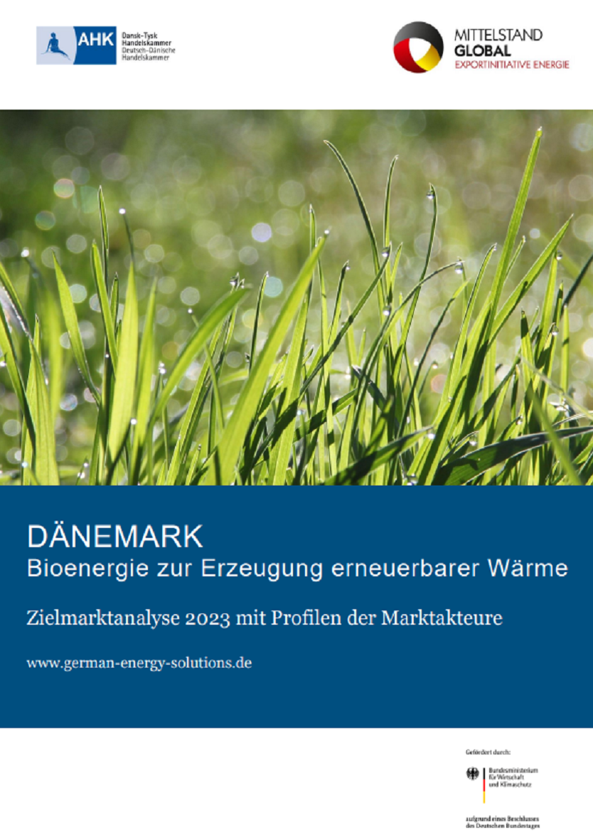 Bioenergie zur Erzeugung erneuerbarer Wärme in Dänemark