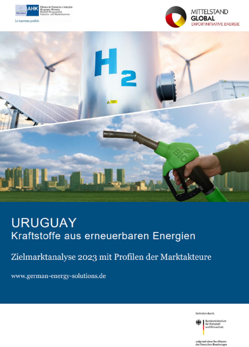 Kraftstoffe aus erneuerbaren Energie in Uruguay
