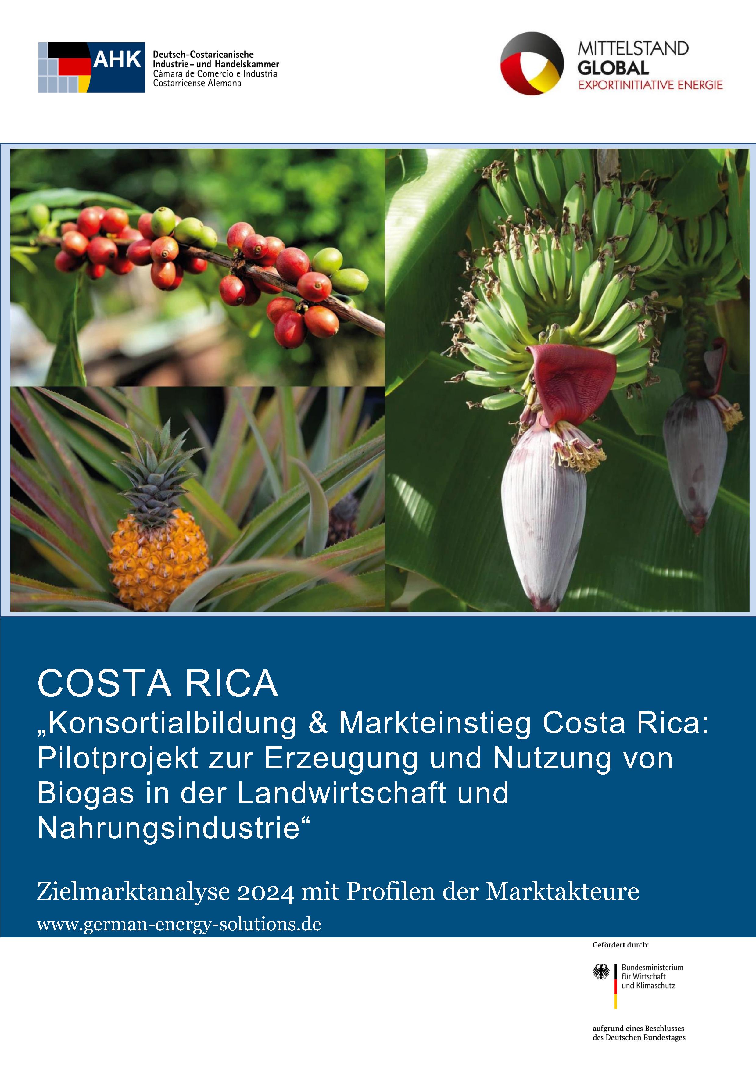 Pilotprojekt zur Erzeugung und Nutzung von Biogas in der Landwirtschaft und Nahrungsindustrie in Costa Rica