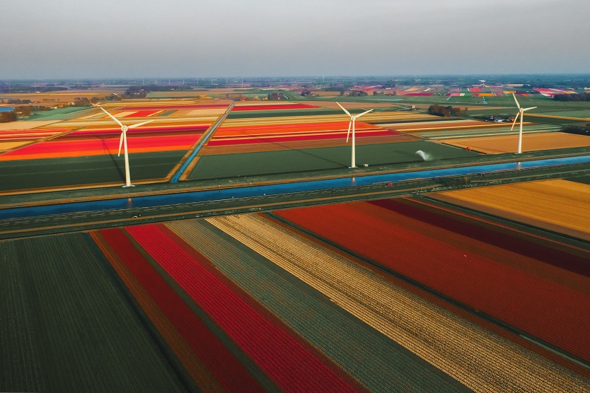 Niederlande; Landschaftsaufnahme mit Windrädern