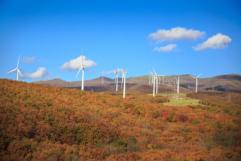 Windenergieerzeugung über Herbstwald