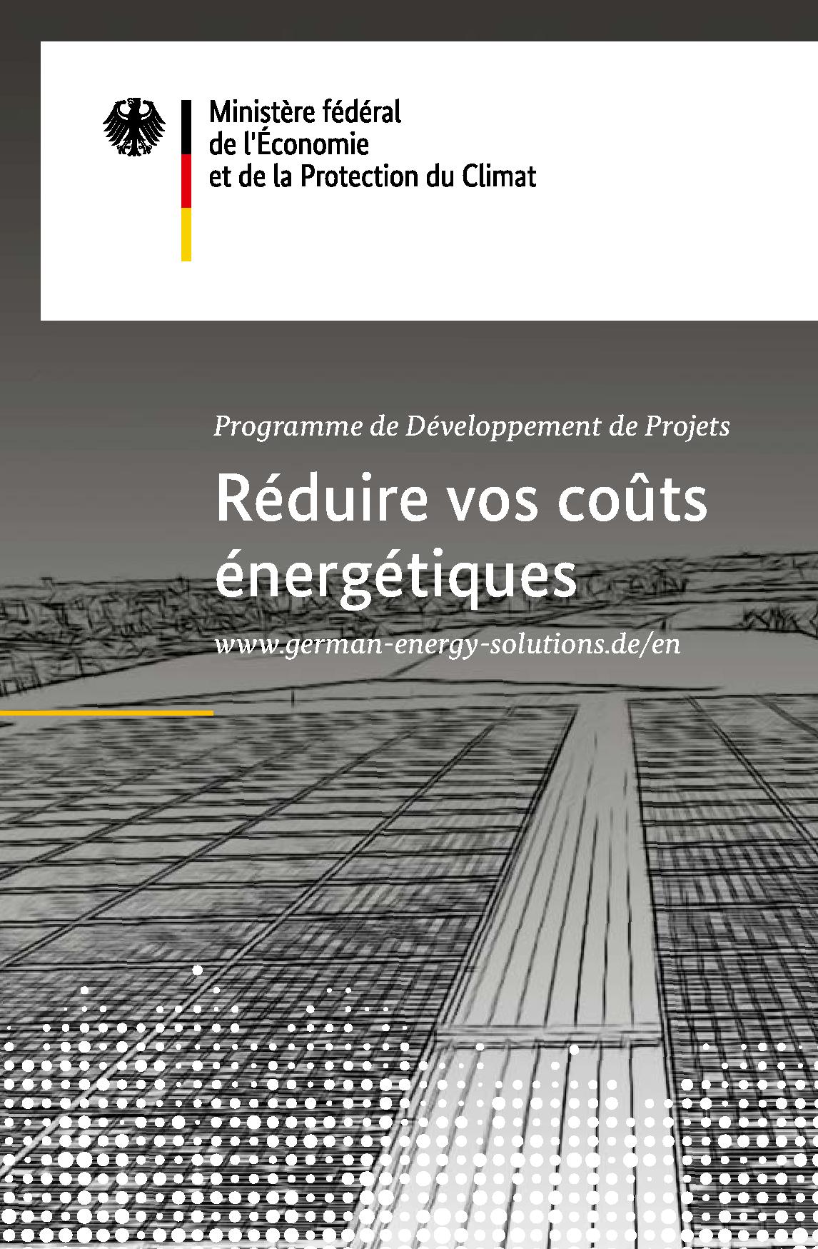 Programme de Développement de Projets